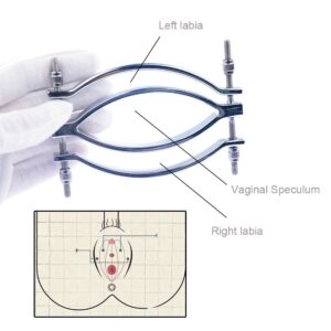 Stainless Steel labia spreader clamps Lips Clip Pussy Vaginal Dilator Speculum Mirror Clitoris Stimulator Sex Toys For Women