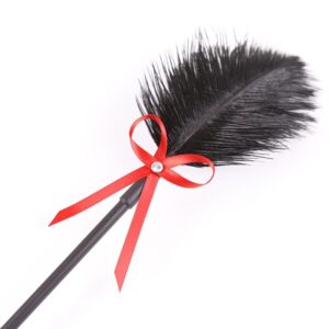 BDSM Feather Tickled Whip Bondage Erotic Punish Fetish Leather Spanking Paddle Play Flogger Sex Toys For Couple Woman Lover